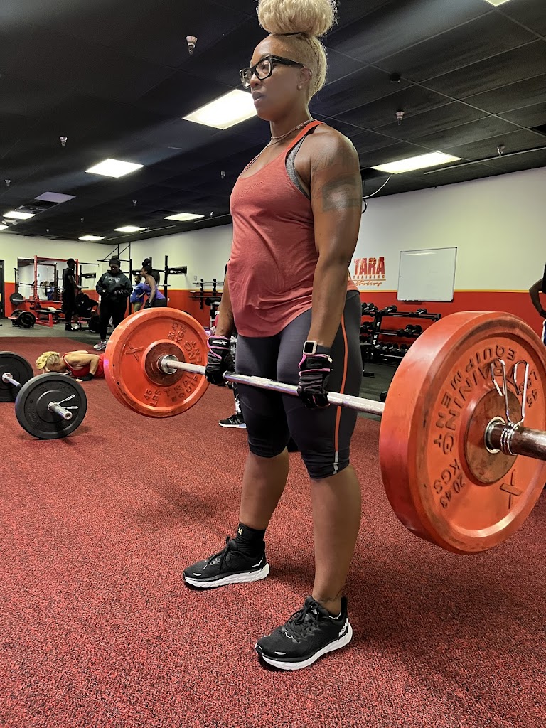  Tara Training Studio