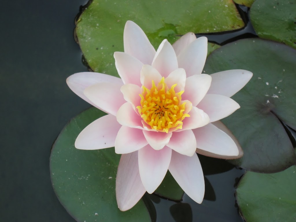 Fundacio Redos de Sant Josep i Sant Pere