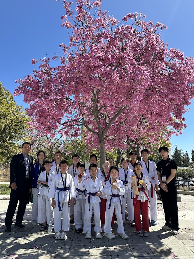  MTC/Master's Taekwondo Club