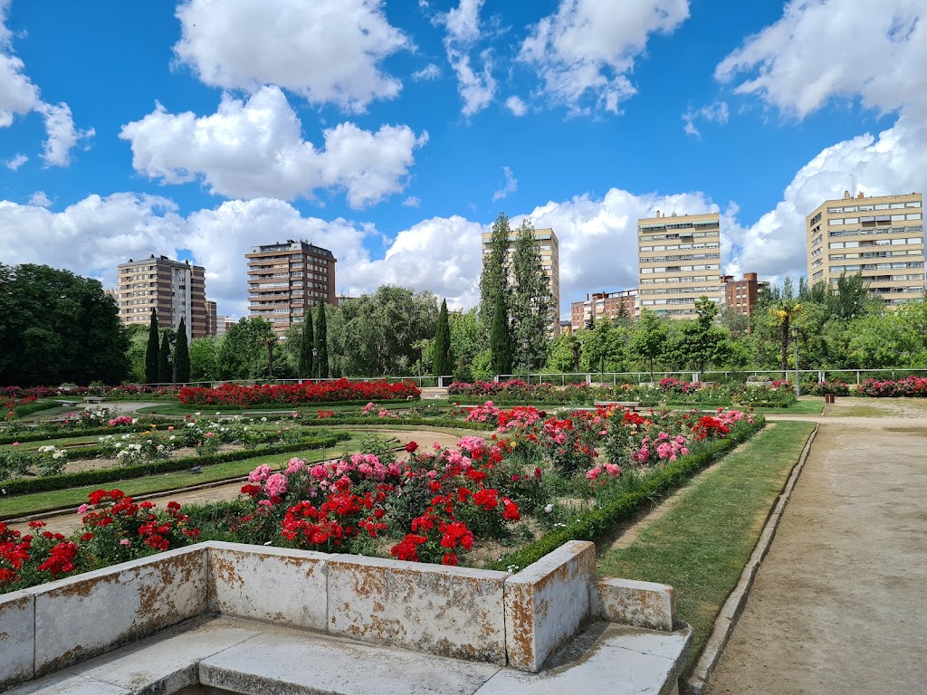 La Rosaleda Francisco Sabadell