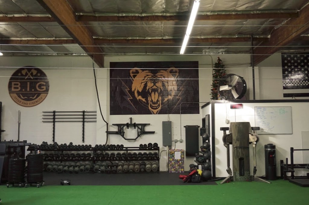  BIG Speed and Strength