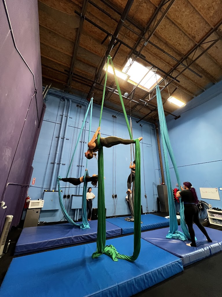  Skybound Aerial Arts Collective