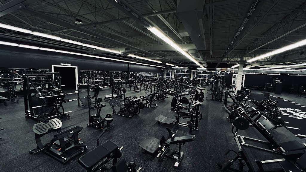  The King Of Gains Gym & Nutrition Center