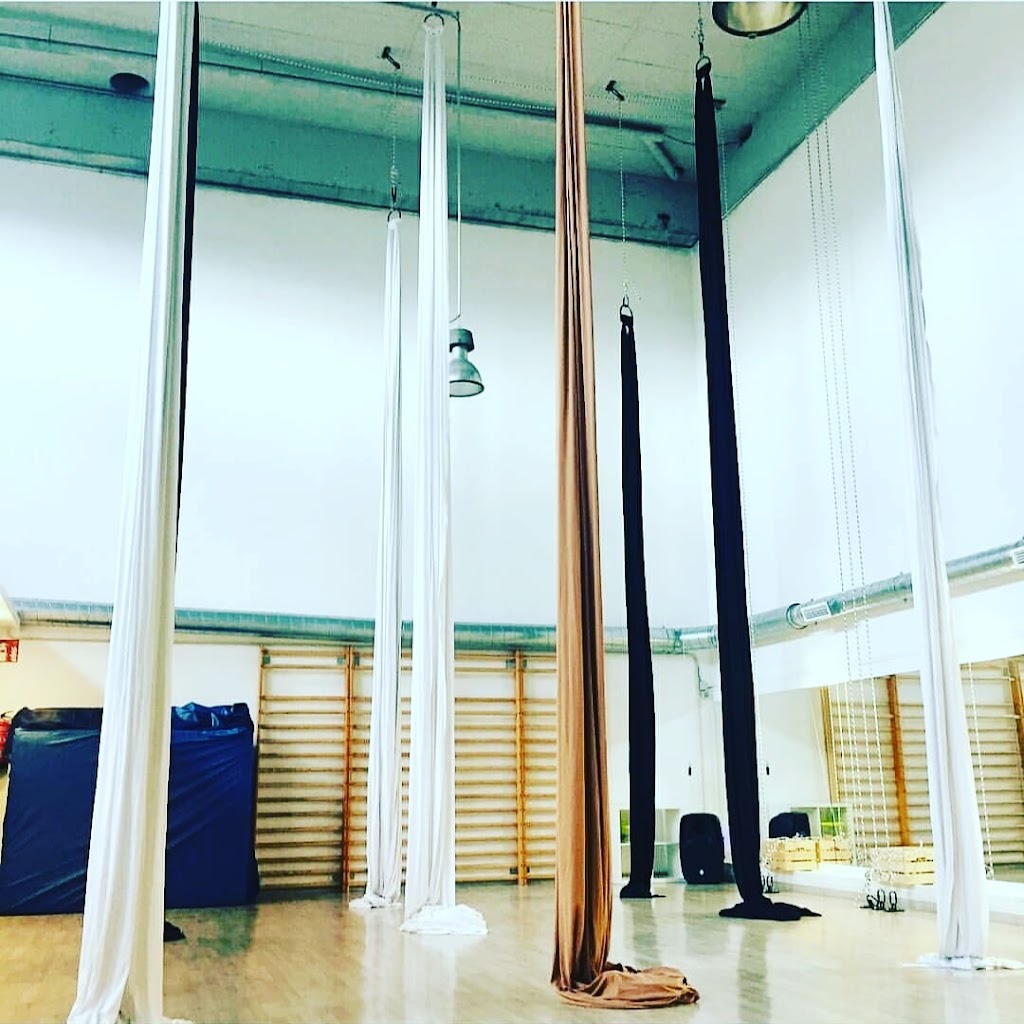 AERIAL SCHOOL BY LAURA COLL