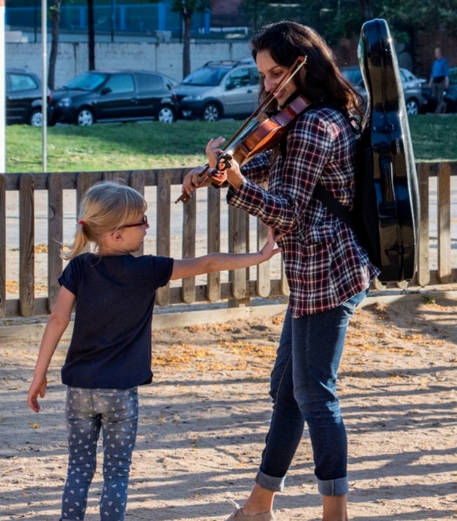 Classes de violi — Del propietario