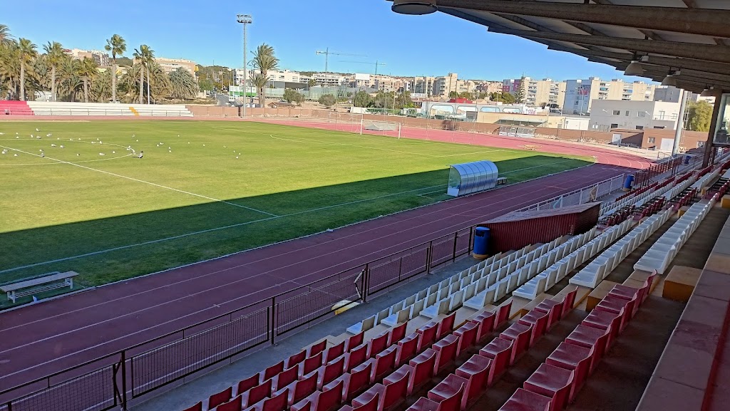 Campo Municipal Manolo Macia