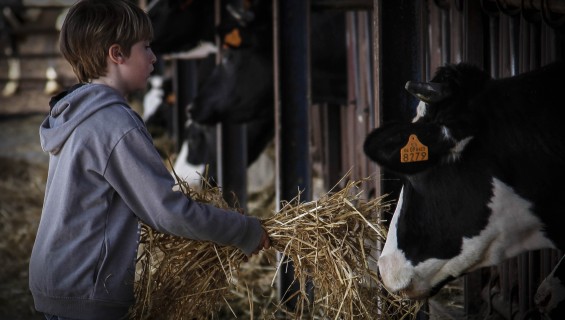 AULA D'ENTORN RURAL CAN TURRO