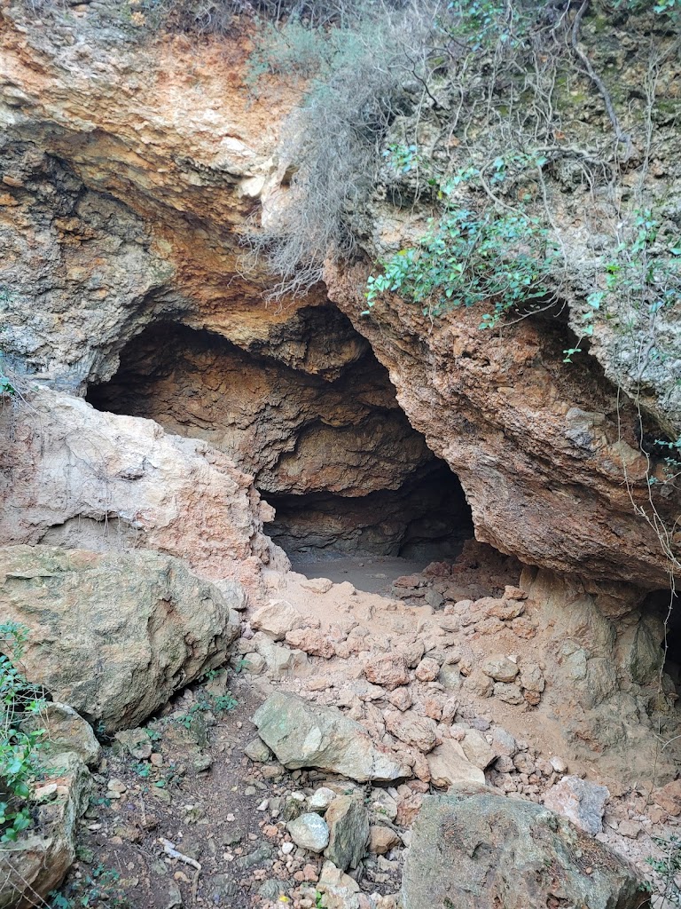 Cova dels Xampinyons