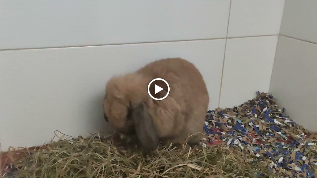 Centro Veterinario Airedale Vet — Del propietario