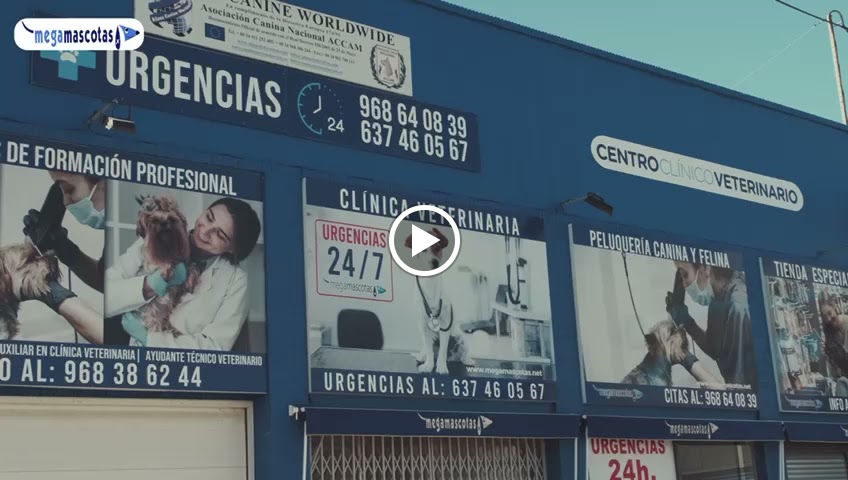 Clinica Veterinaria Megamascotas — Del propietario