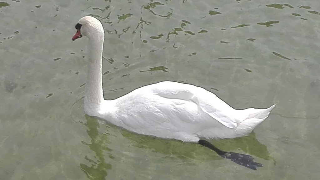 Juan Ramon Marques Rubio