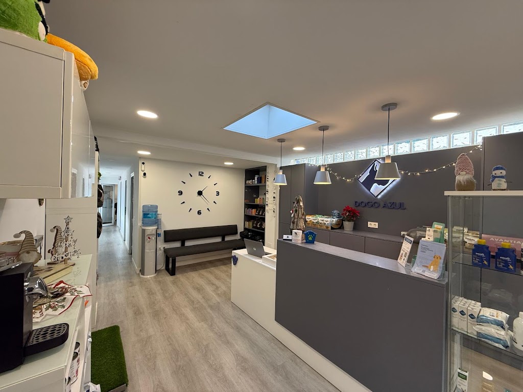 Clinica Veterinaria Dogo Azul Elviria