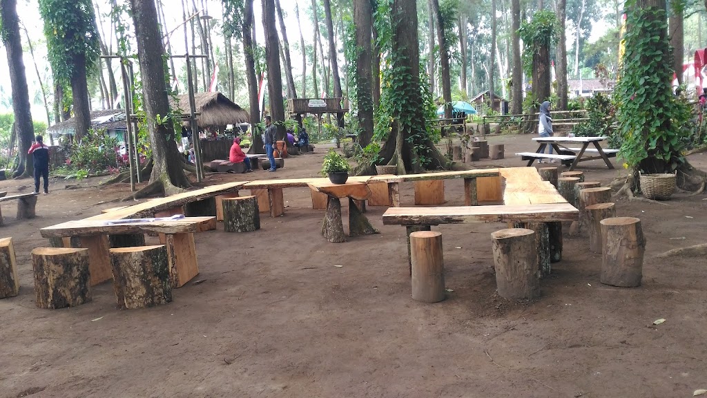 Suko Pinus Banyuwangi