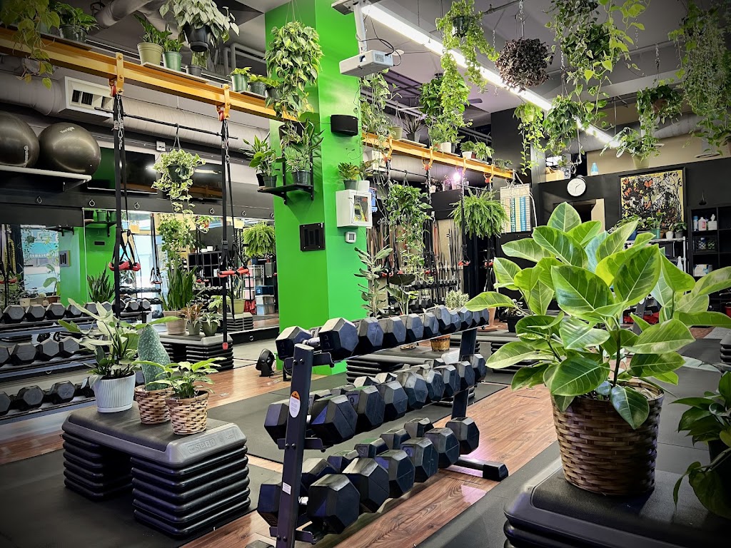  Fitnext: The Jungle Gym