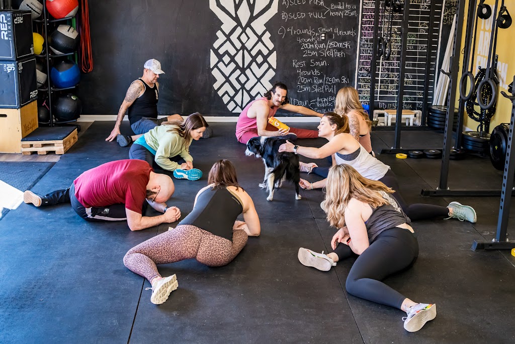  The Golden Life Project