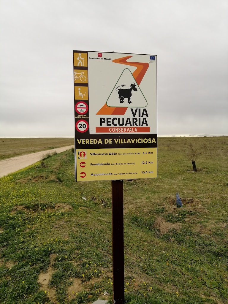 Vereda de Villaviciosa