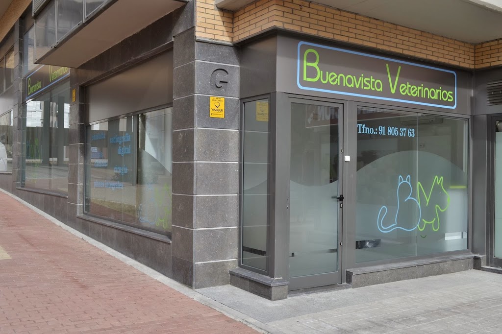Buenavista Veterinarios S.L.