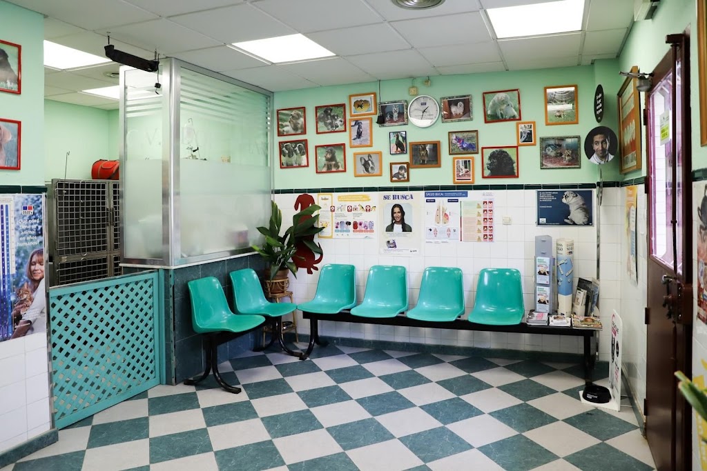 Clinica Veterinaria Dobermann II — Del propietario