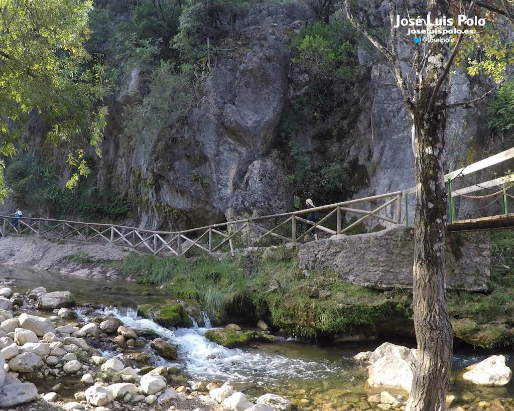 Pasarelas Rio Borosa