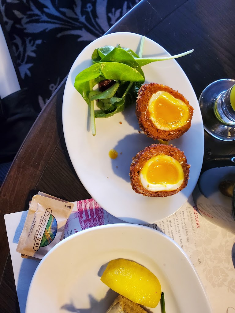 Scotch egg