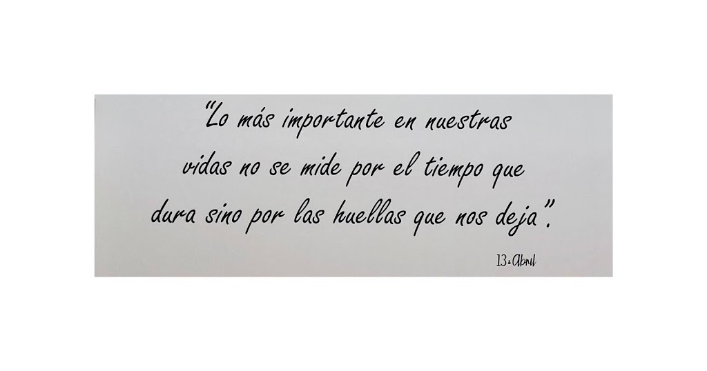 Clinica Veterinaria 13 & Abril