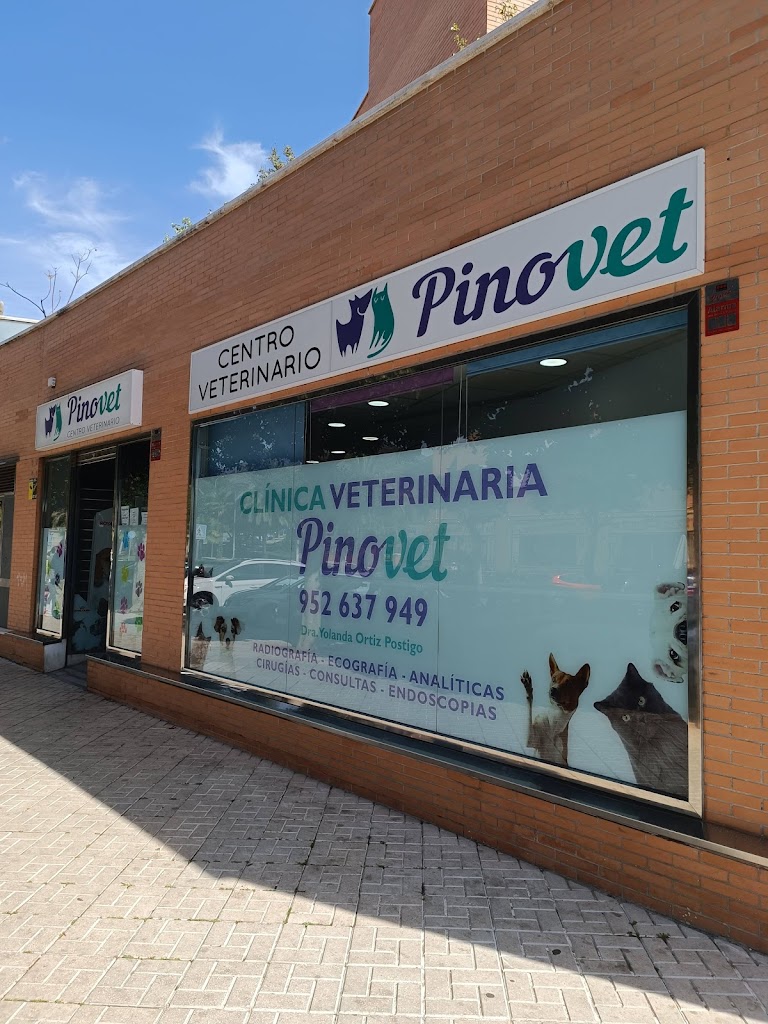 Clinica Veterinaria PinoVet