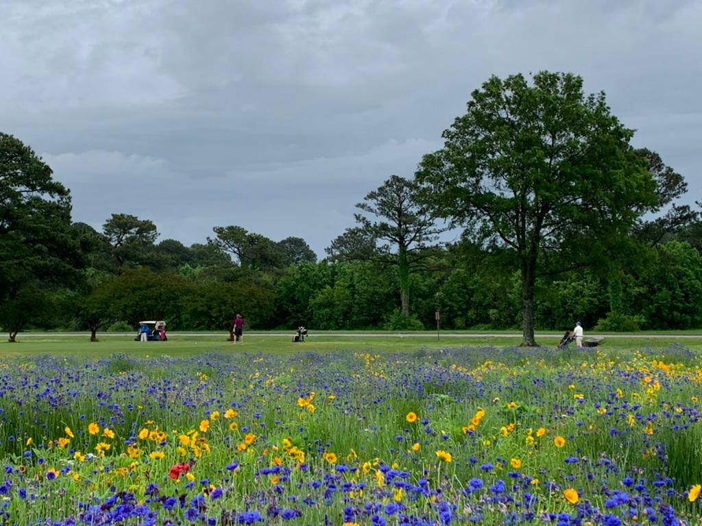  Eaglewood Golf Course-Langley AFB