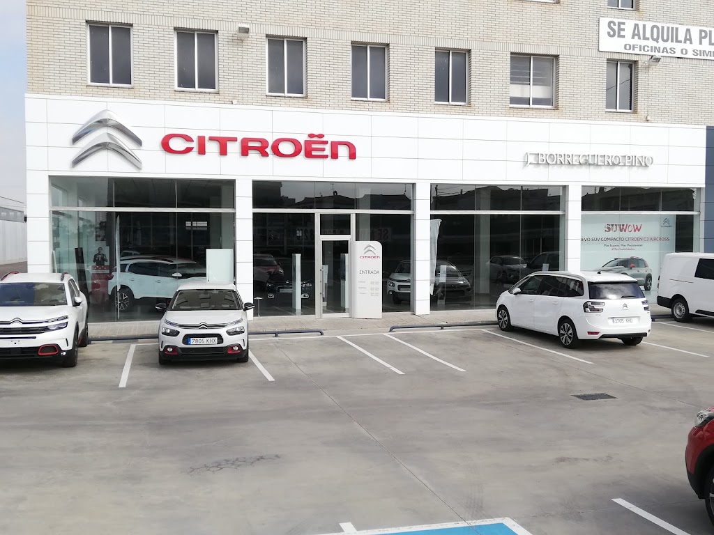 Grupo Borreguero, Coches Nuevos, seminuevos, Km0 y demostracion