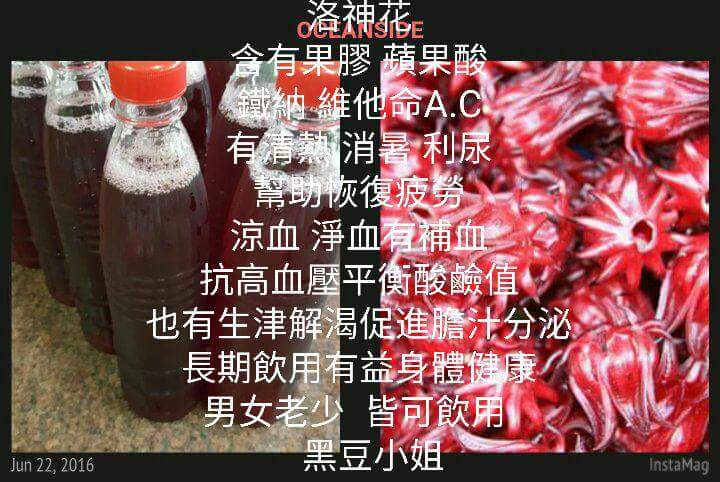 黑豆小姐 的照片