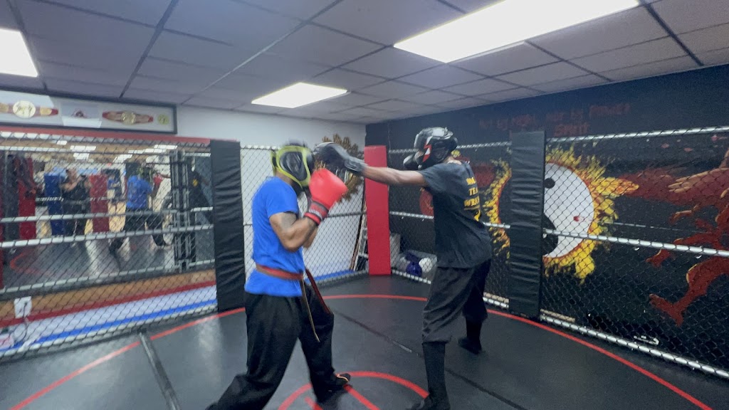  Universal Warrior Mixed Martial Arts