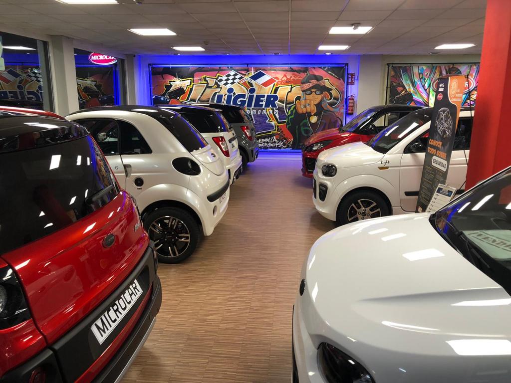 Coches Sin Carnet Alicante Concesionario Ligier Microcar — Del propietario