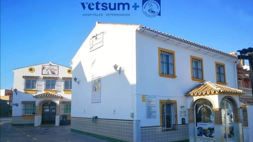 Hospital Veterinario Alhaurin El Grande | Urgencias 24 horas