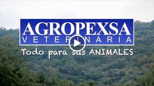 Agropexsa Zafra — Videos