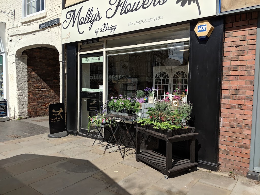 Molly's Flowers