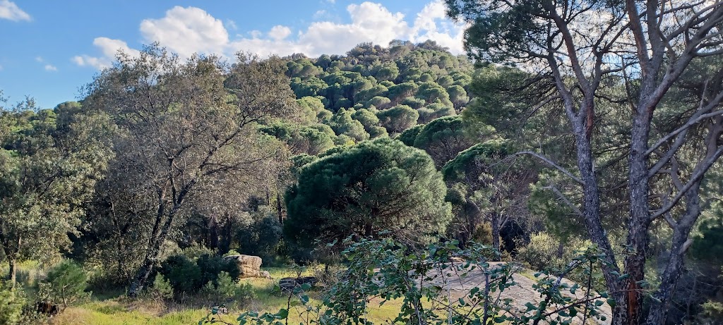 Ruta Ecologica