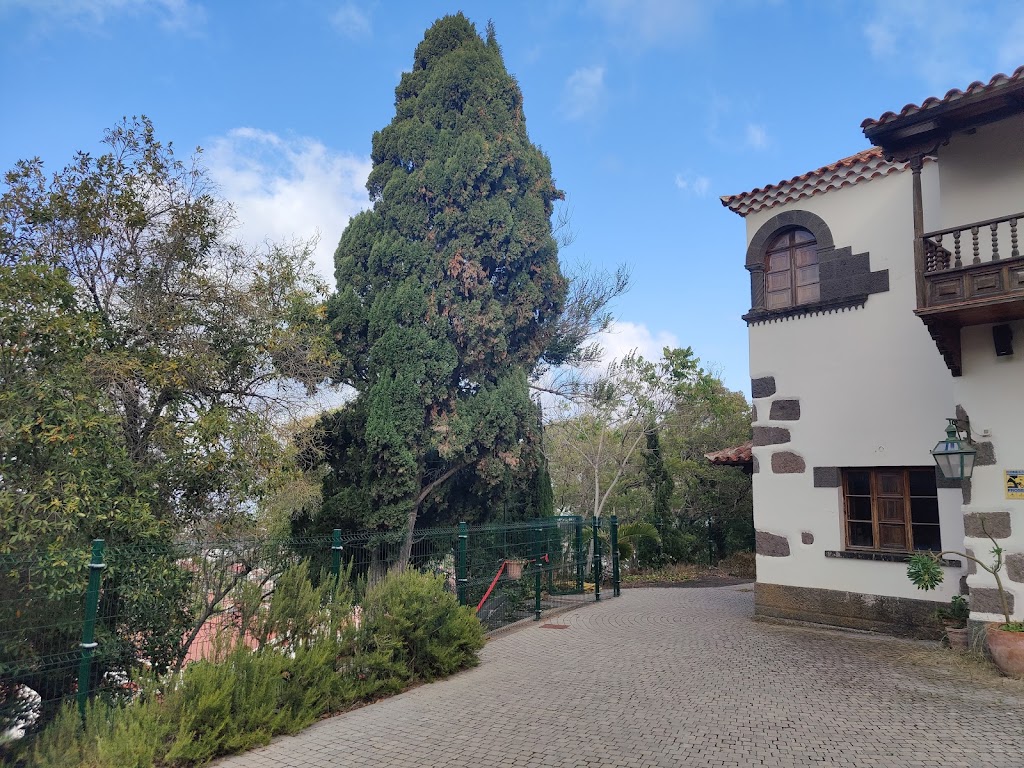 Bosqueko Forest School. Colegio bilingue de Infantil y Primaria