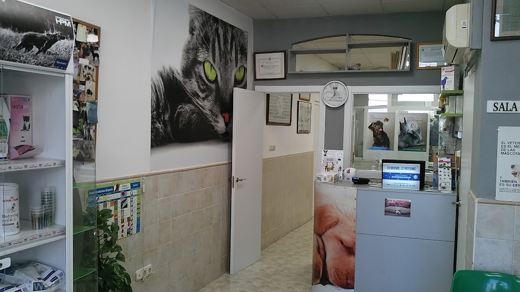 Clinica Veterinaria Xativa