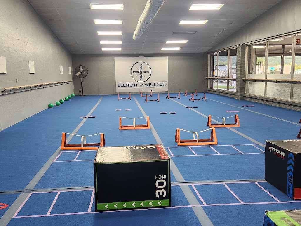  Element 26 Wellness LLC