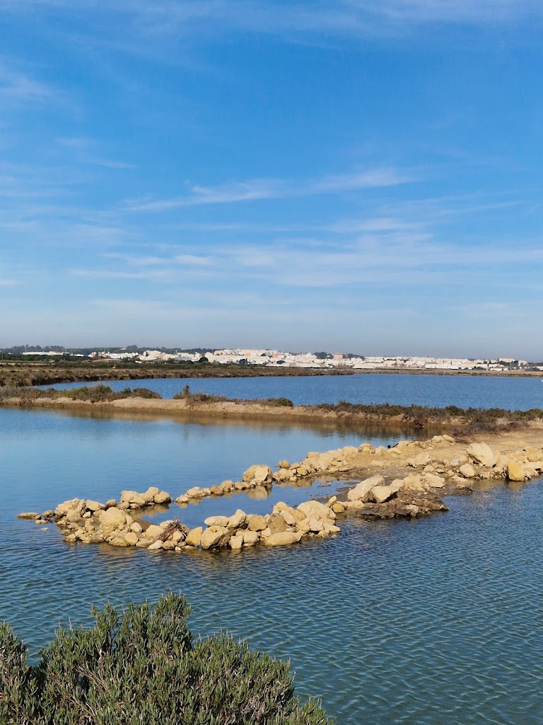 SALINAS LA TAPA Y MARIVELEZ
