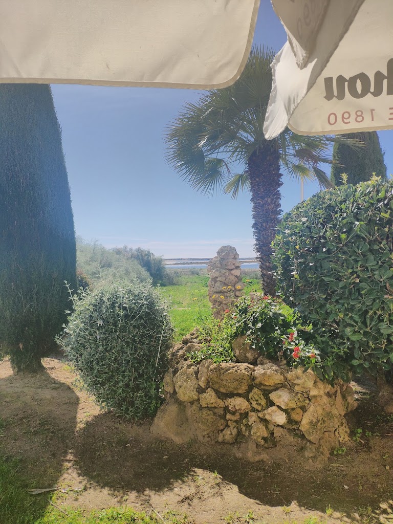 Restaurante El Garito del Patera — Mas recientes