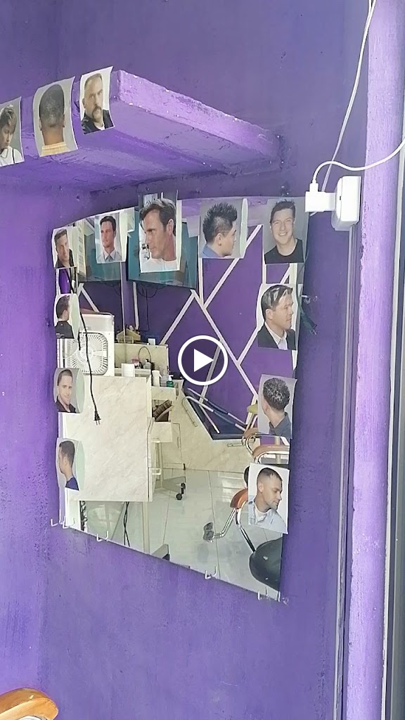 ESTETICA UNISEX PEINES Y TIJERAS — Del propietario