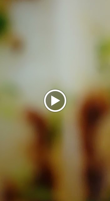 La Pecera — Videos