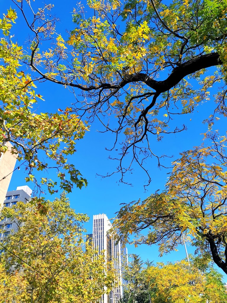 Aparcamiento [P] Castellana 123