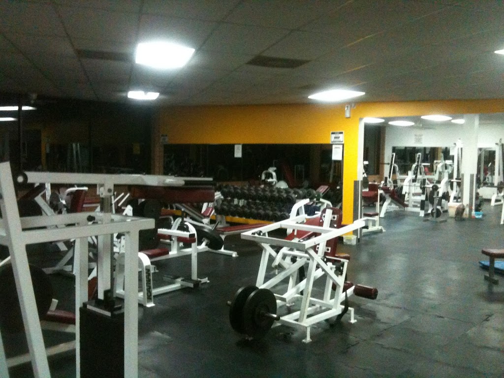  Bruce's New World Fitness