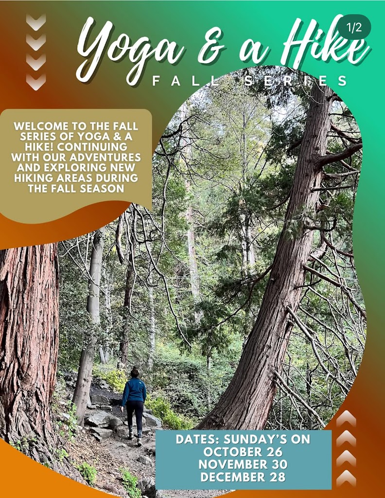  Mindful Space Yoga & Meditation