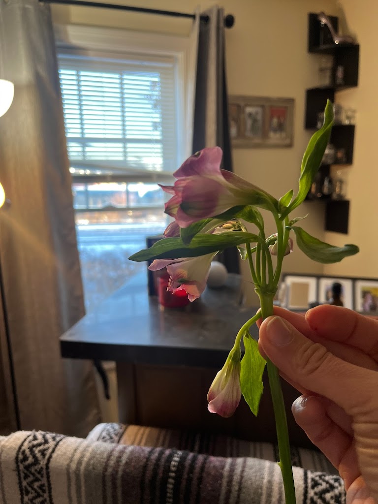 CT House of Blossoms & Gifts