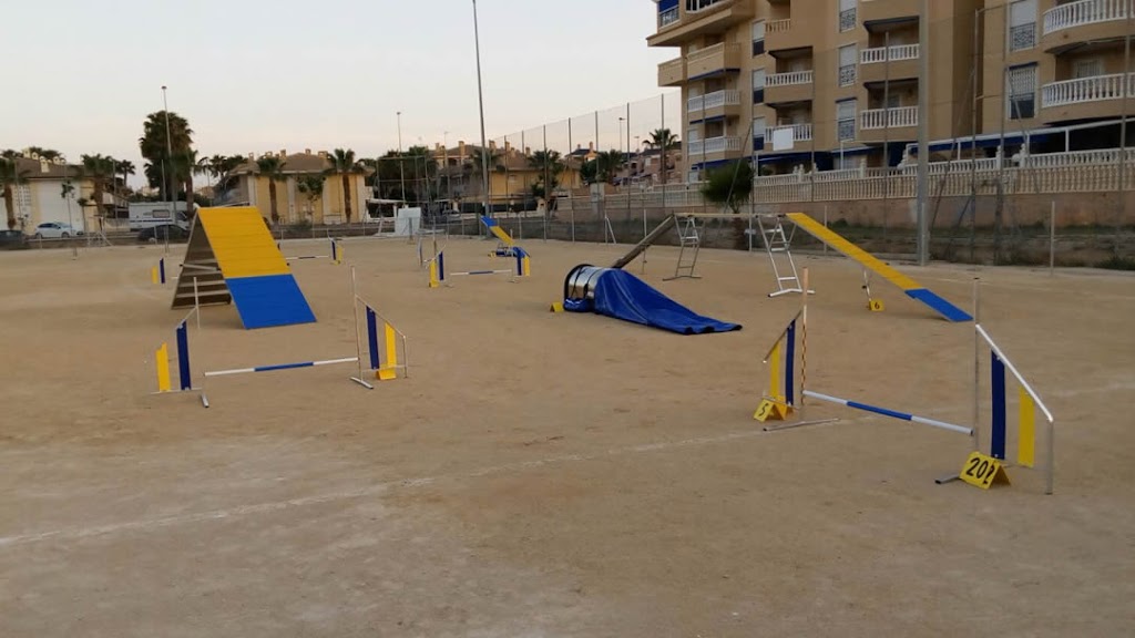 Centro de Actividades Caninas Agility Santa Pola