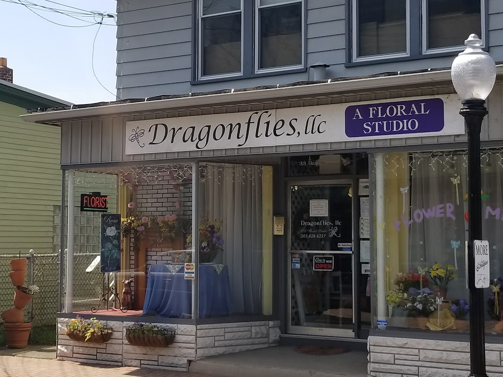 Dragonflies LLC