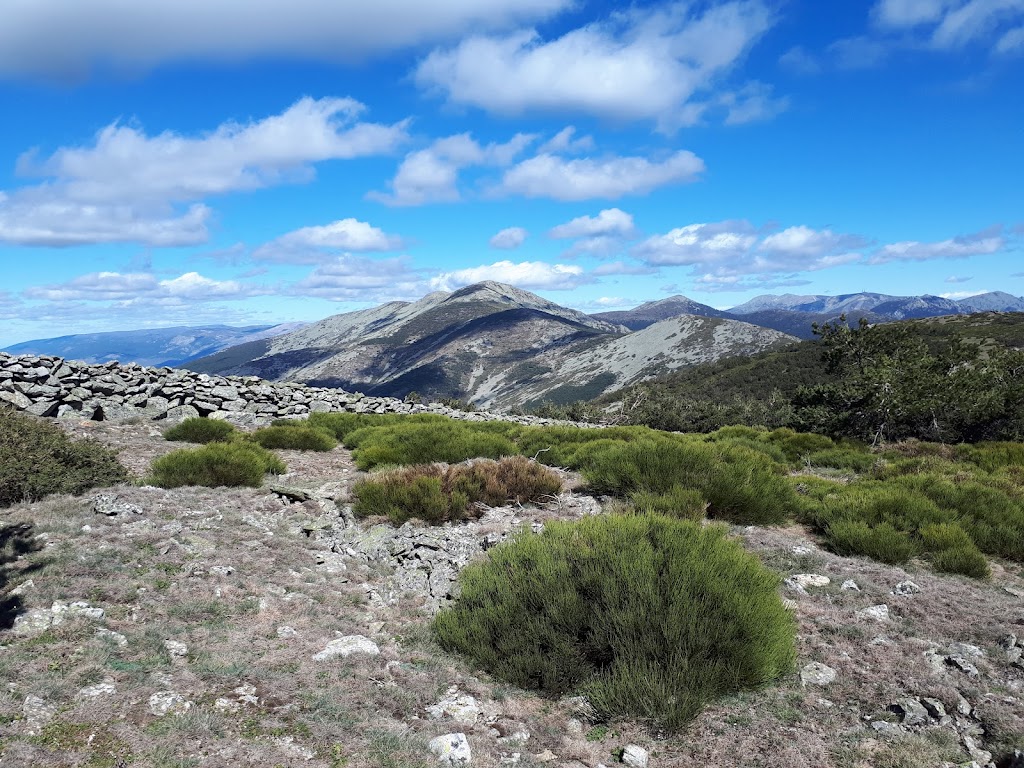 Pico Pielera