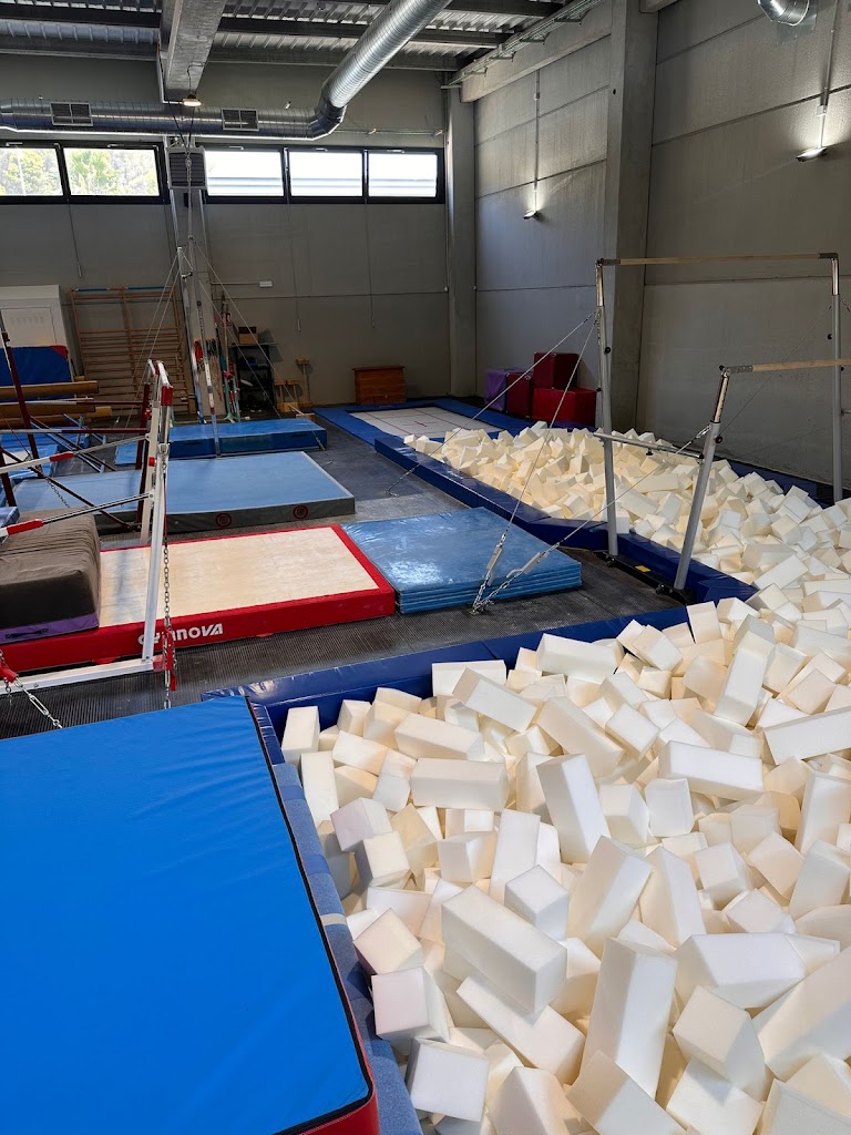 Gimnastica Artistica